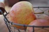 apple ibook